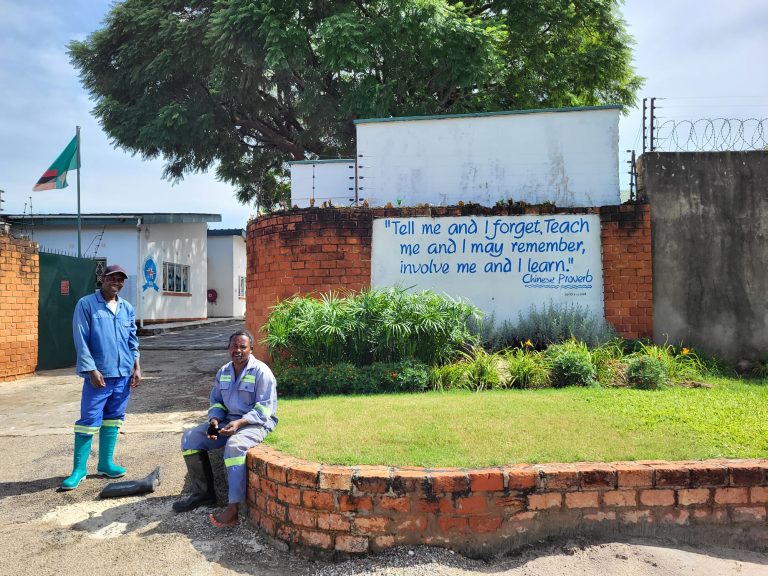 Spillover effects of the Chinese FDI in Africa. The case studies of Angola and Zambia (2018-2021)