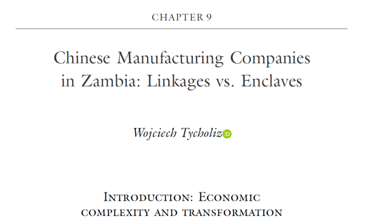 Chinese Manufacturing Companies in Zambia: Linkages vs. Enclaves (2023)